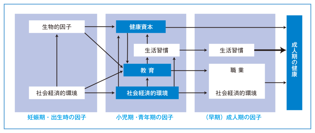 図１：子どもの健康に影響を与える重要な要素（健康の社会的決定要因）